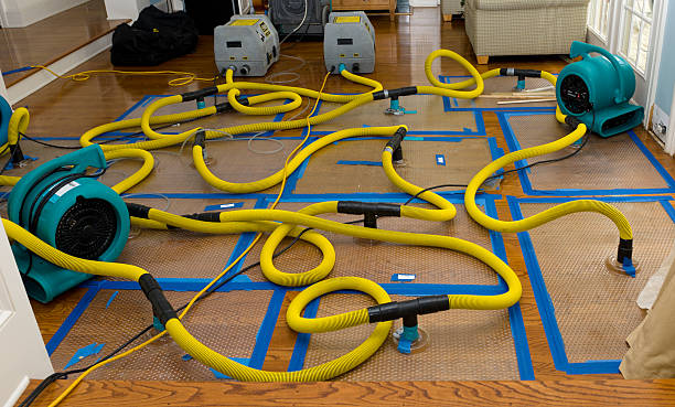 Professional Water Extraction technician working in Panama, OK